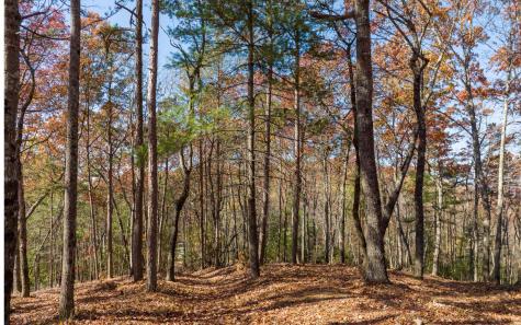Lot 41 Preserve Trail Ellijay GA 30536