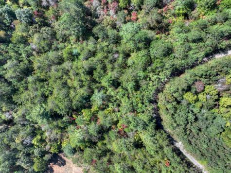Lot 6 Skyline Drive Turtletown TN 37391