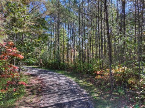 Lot 6 Skyline Drive Turtletown TN 37391