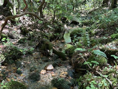5.74 Ac Hardslate Road Ellijay GA 30560