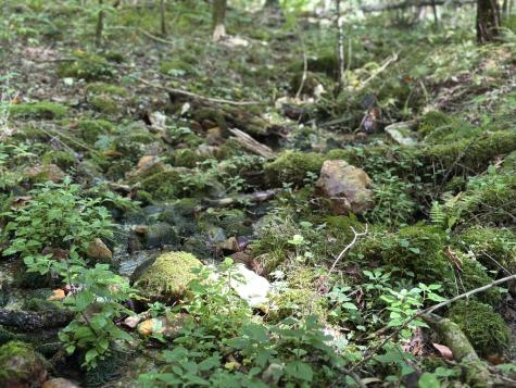 5.74 Ac Hardslate Road Ellijay GA 30560