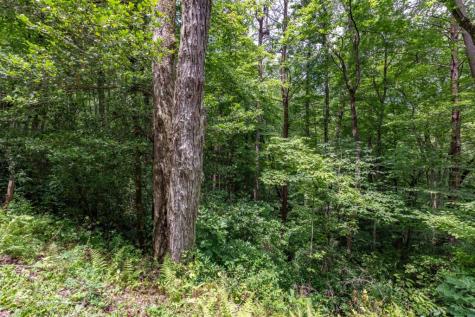 5.74 Ac Hardslate Road Ellijay GA 30560