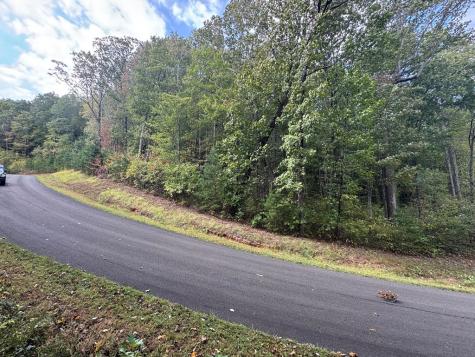 174 Trailwood Ellijay GA 30536