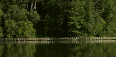 174 Trailwood Ellijay GA 30536