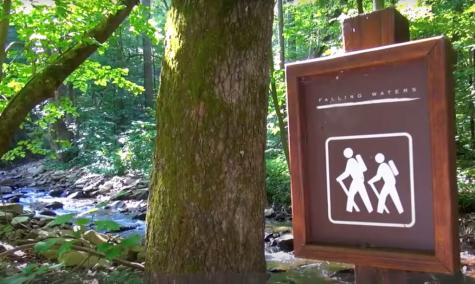 174 Trailwood Ellijay GA 30536