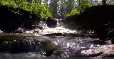 174 Trailwood Ellijay GA 30536