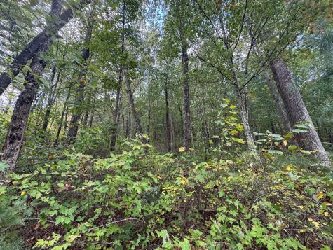 174 Trailwood Ellijay GA 30536