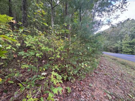 174 Trailwood Ellijay GA 30536