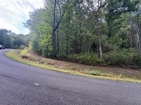 174 Trailwood Ellijay GA 30536