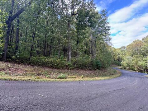 174 Trailwood Ellijay GA 30536