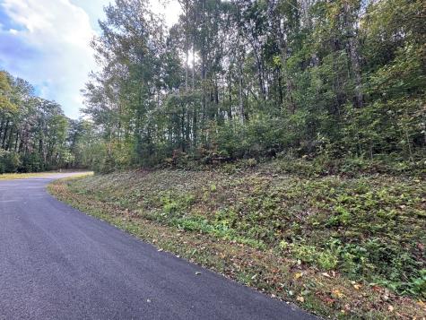 174 Trailwood Ellijay GA 30536