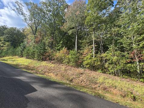 174 Trailwood Ellijay GA 30536