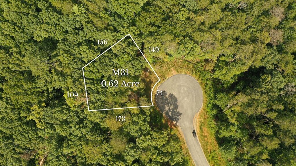M31 Pine Valley Road Mineral Bluff GA 30559