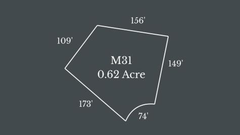 M31 Pine Valley Road Mineral Bluff GA 30559
