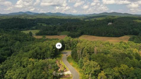 M31 Pine Valley Road Mineral Bluff GA 30559
