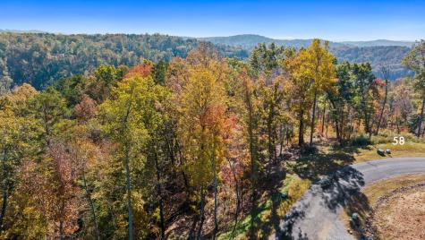 Lot 58 Ridge Line Trail Ellijay GA 30540