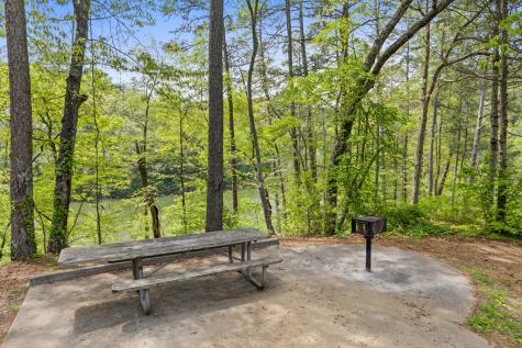 Lot 39 Jakes Landing Way Ellijay GA 30540