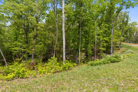 Lot 39 Jakes Landing Way Ellijay GA 30540
