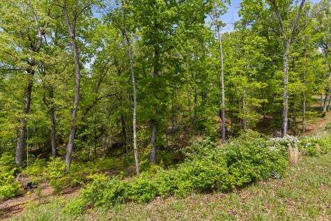 Lot 39 Jakes Landing Way Ellijay GA 30540