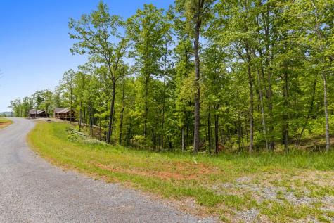 Lot 39 Jakes Landing Way Ellijay GA 30540