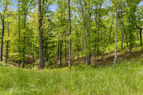 Lot 39 Jakes Landing Way Ellijay GA 30540