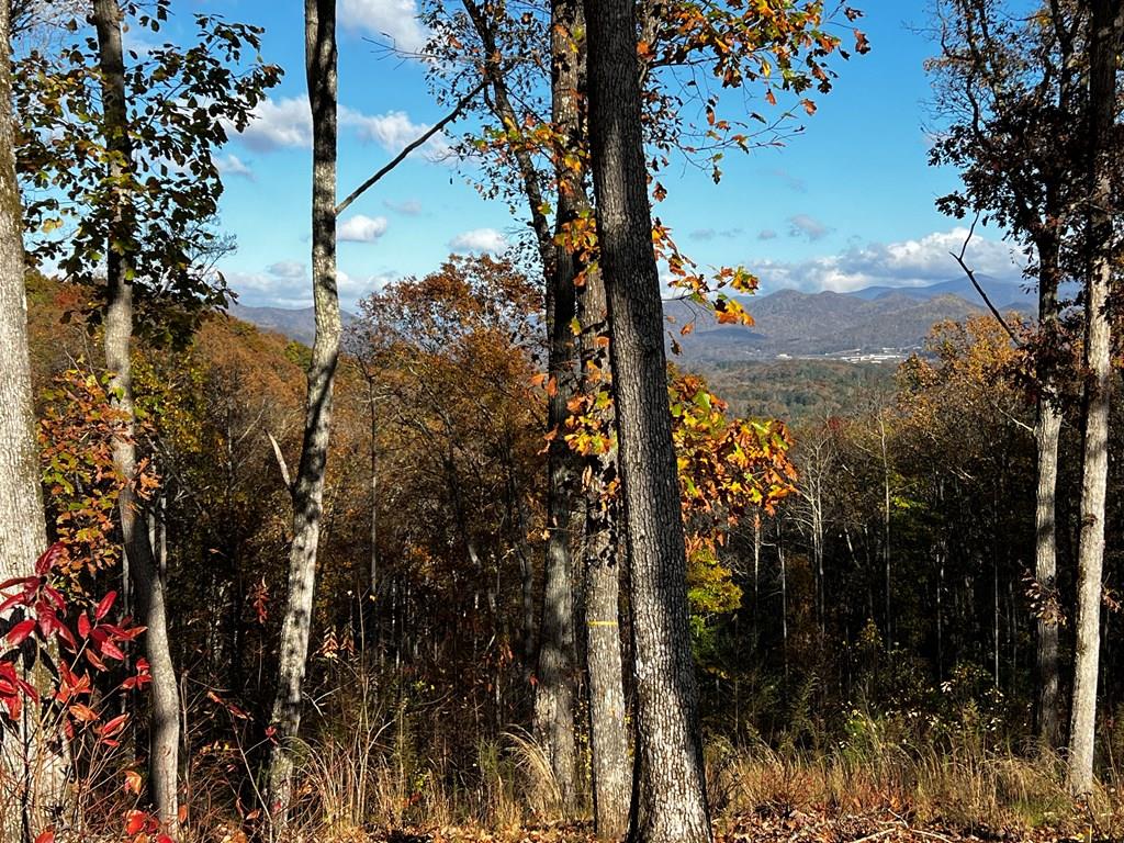 Lot 118 Winding Ridge Blairsville GA 30512