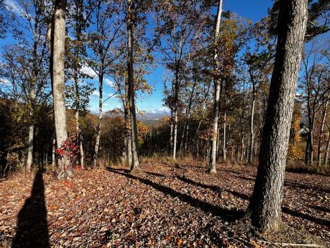 Lot 118 Winding Ridge Blairsville GA 30512