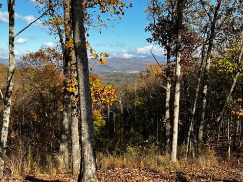 Lot 118 Winding Ridge Blairsville GA 30512