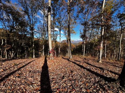 Lot 118 Winding Ridge Blairsville GA 30512