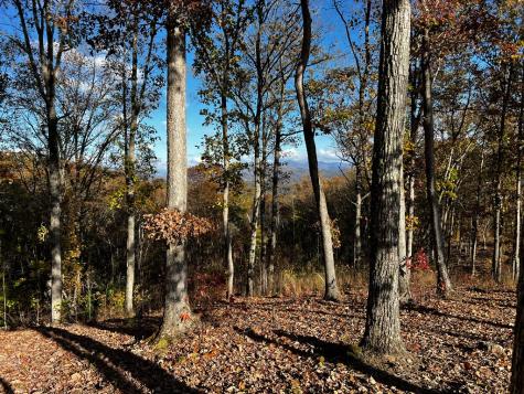 Lot 118 Winding Ridge Blairsville GA 30512