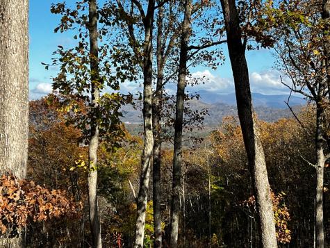 Lot 118 Winding Ridge Blairsville GA 30512