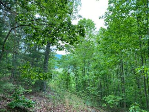 L5,13 Town View Circle Blairsville GA 30512