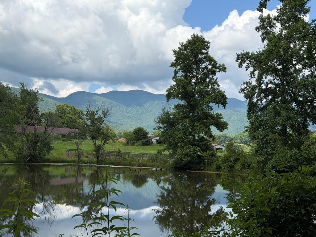 Lot 90 Shiloh Stables Hayesville NC 28904