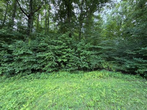 Lot 90 Shiloh Stables Hayesville NC 28904