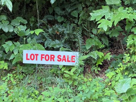 Lot 90 Shiloh Stables Hayesville NC 28904