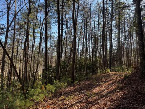 Tract 1 Fain Branch Road Blairsville GA 30512