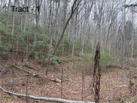 Tract 1 Fain Branch Road Blairsville GA 30512