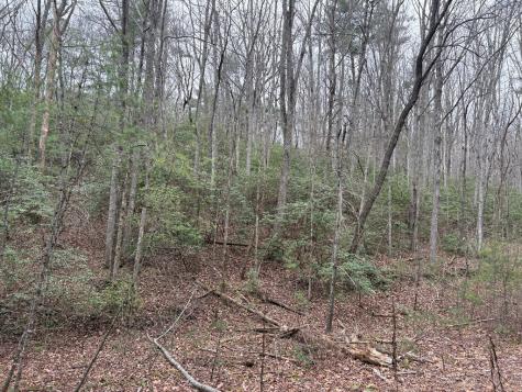 Tract 1 Fain Branch Road Blairsville GA 30512