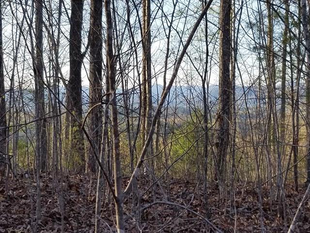 00 Dasali Way Murphy NC 28906
