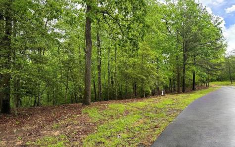 Lot 6 Brasstown Trail Brasstown NC 28909
