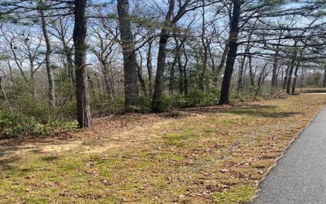 Lot 6 Brasstown Trail Brasstown NC 28909