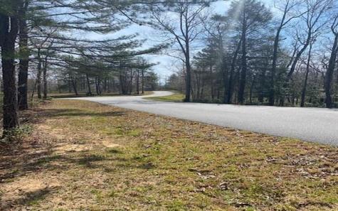 Lot 6 Brasstown Trail Brasstown NC 28909