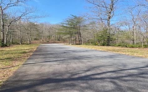 Lot 6 Brasstown Trail Brasstown NC 28909