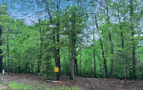 Lot 6 Brasstown Trail Brasstown NC 28909