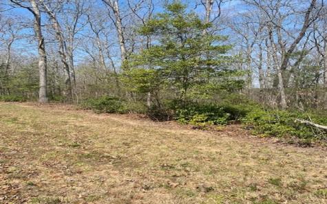 Lot 6 Brasstown Trail Brasstown NC 28909