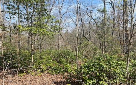 Lot 6 Brasstown Trail Brasstown NC 28909
