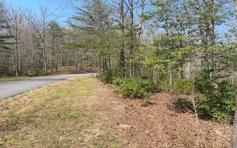 Lot 6 Brasstown Trail Brasstown NC 28909