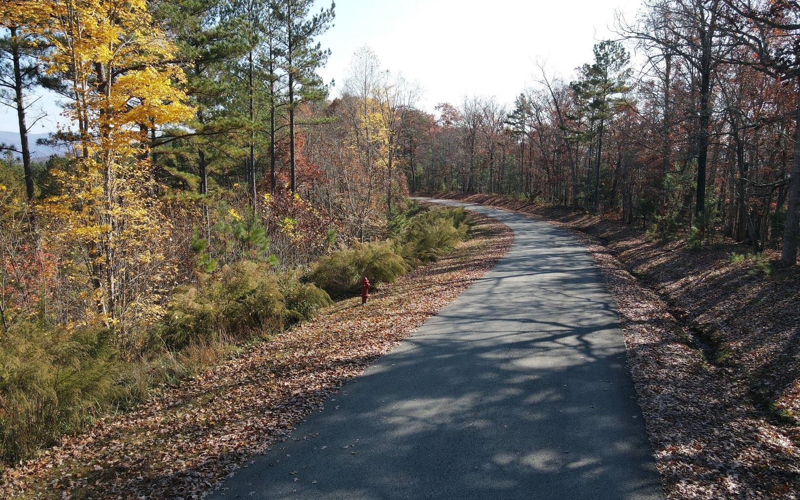 60 Thirteen Hundred Blairsville GA 30512