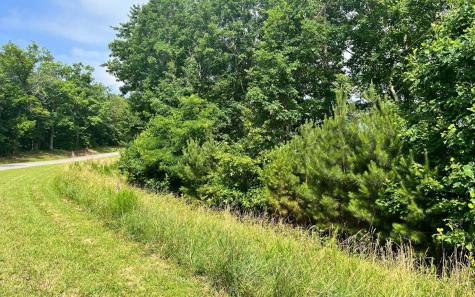 60 Thirteen Hundred Blairsville GA 30512
