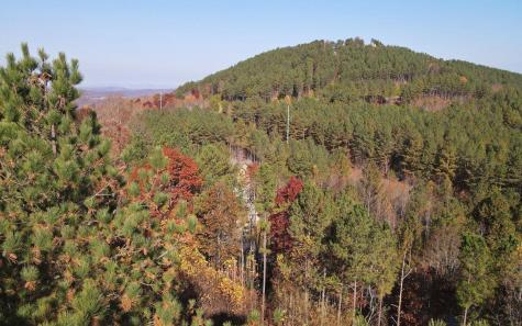 60 Thirteen Hundred Blairsville GA 30512